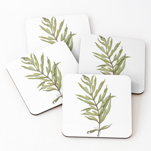 Item preview, Illustration of Grevillea Robusta leaves in watercolor designed and sold by Malu-Iriarte.