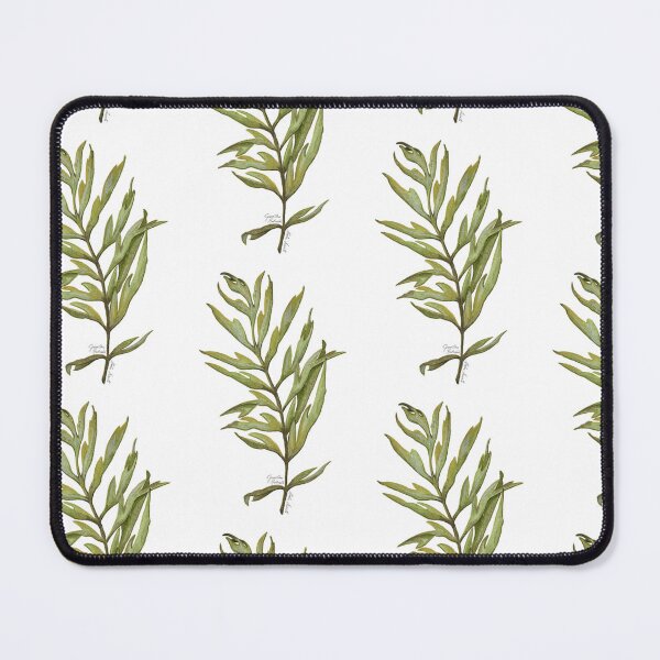 Item preview, Illustration of Grevillea Robusta leaves in watercolor designed and sold by Malu-Iriarte.