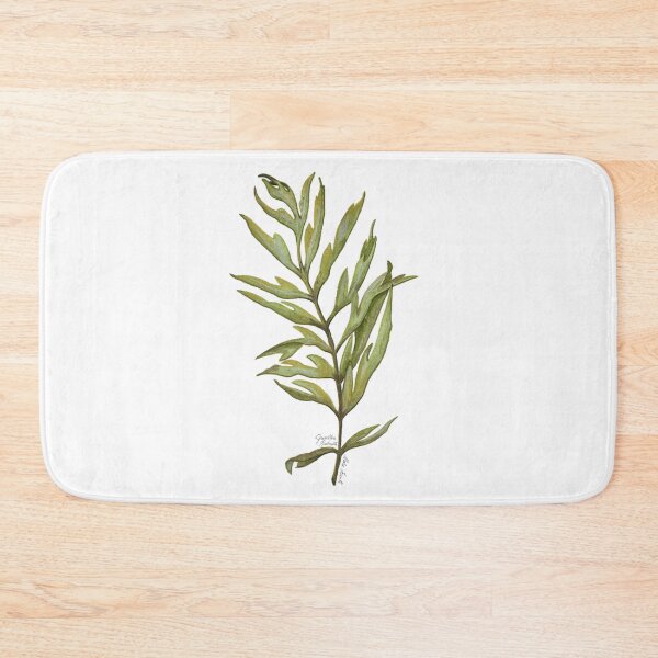 Item preview, Illustration of Grevillea Robusta leaves in watercolor designed and sold by Malu-Iriarte.