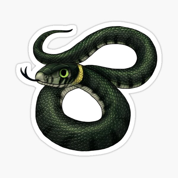 Item preview, Grass Snake designed and sold by JeMiChi Art.
