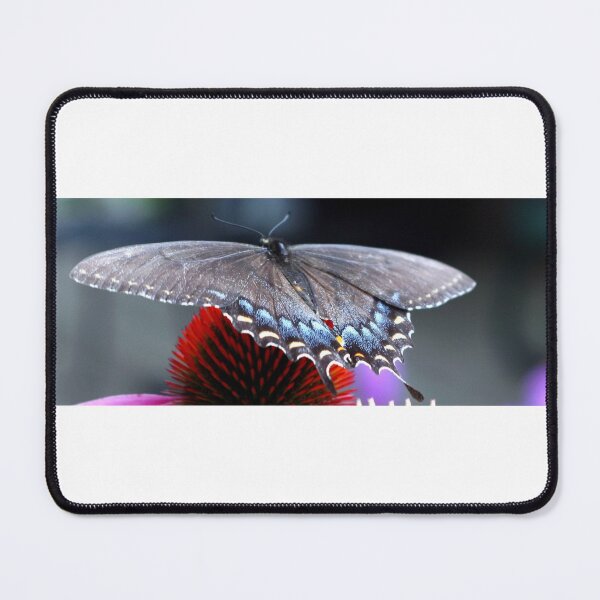 Item preview, Blue butterfly designed and sold by searchlight.