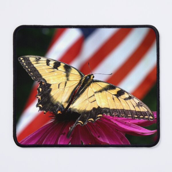 Item preview, American Butterfly designed and sold by searchlight.