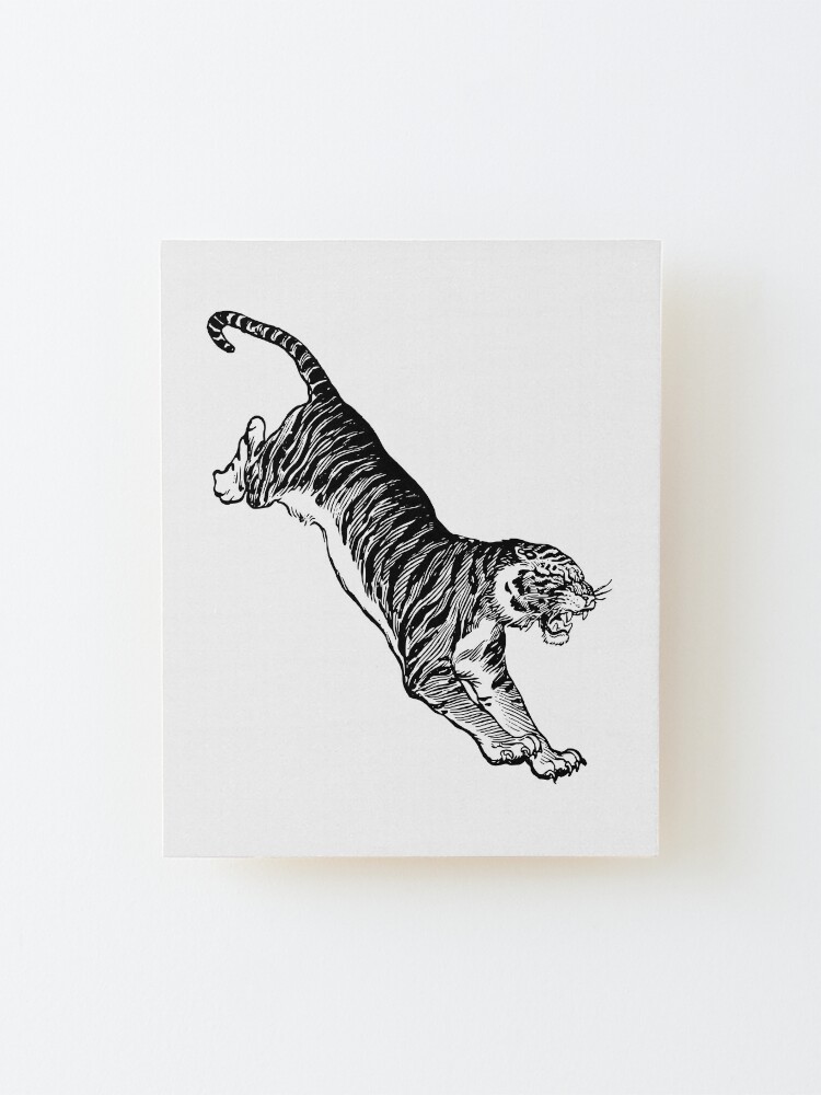 Baby Tiger Themed Drawing Book, Kids Drawing Book, Spiral Notebook