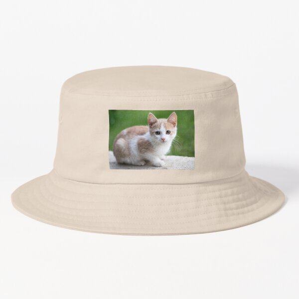 Artikel-Vorschau von Nette Katze / Katzenliebhaber, designt und verkauft von Trendy Design.