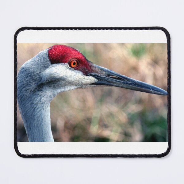 Item preview, Floridian Crane designed and sold by searchlight.