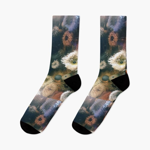 Item preview, Aquarium designed and sold by sarahdillon.