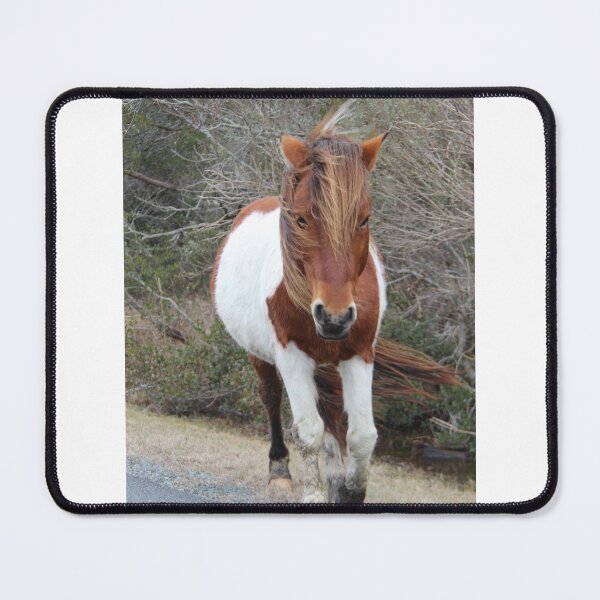 Item preview, Assateague Pony - Virginia designed and sold by searchlight.