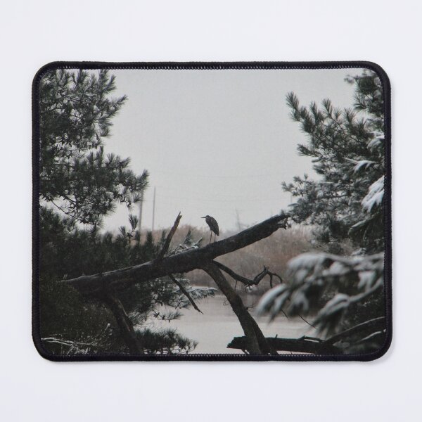Item preview, Snowy Heron Perched on Log - Assateague, VA designed and sold by searchlight.