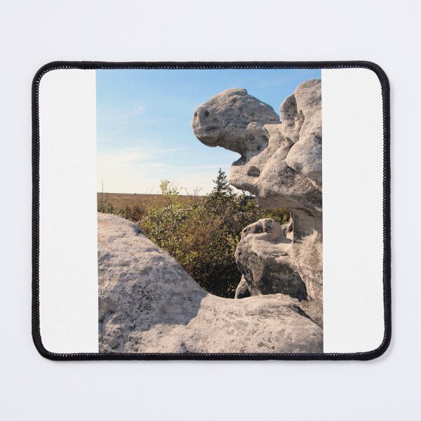 Artikelvorschau, Rock Formation, Dolly Sods, West Virginia entworfen und verkauft von searchlight.