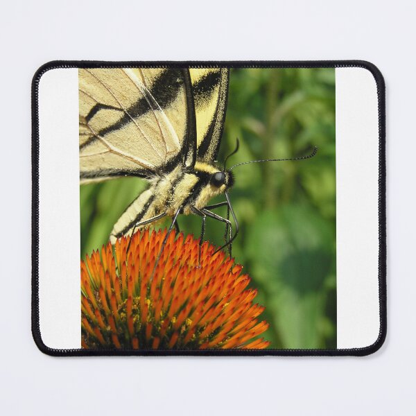 Item preview, Yellow butterfly designed and sold by searchlight.
