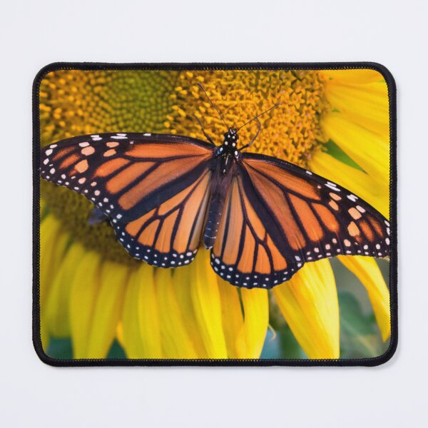 Item preview, Sunflower and butterfly, Hebron MD USA designed and sold by searchlight.