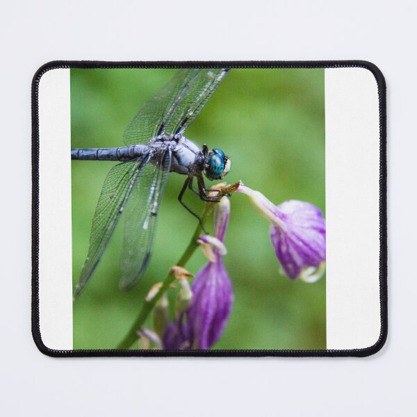 Item preview, Dragonfly - series 2 designed and sold by searchlight.