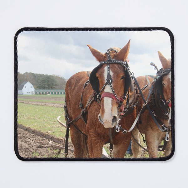 Item preview, Plow Days - Mount Hermon, Maryland designed and sold by searchlight.
