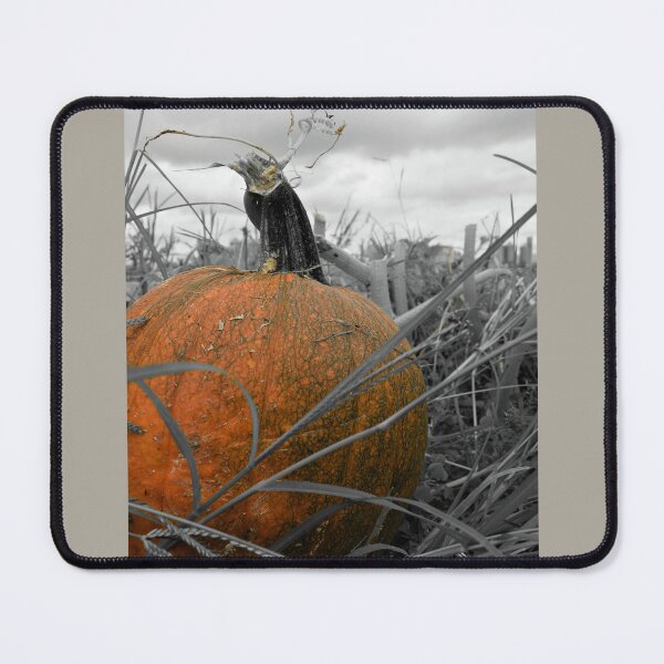 Item preview, Pumpkin Patch designed and sold by searchlight.