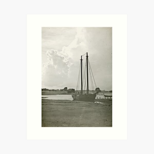 Item preview, Schooner Bloomer in Barnstable Harbor designed and sold by sturgislibrary.