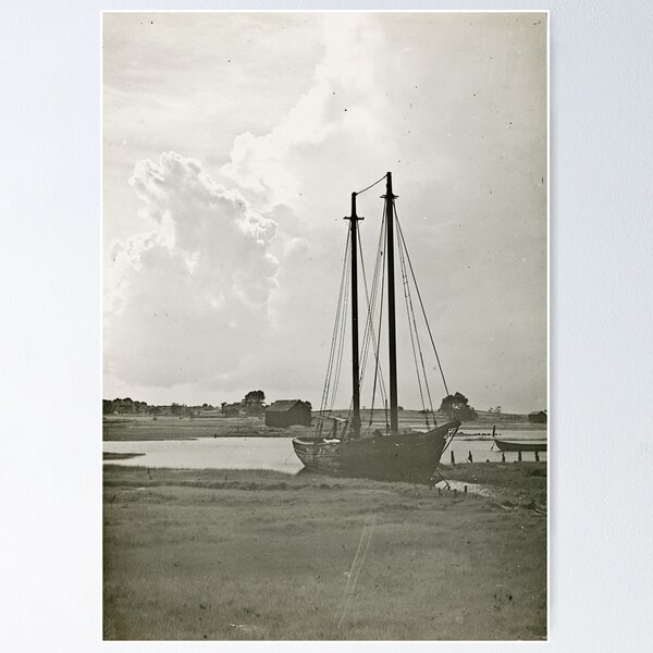 Item preview, Schooner Bloomer in Barnstable Harbor designed and sold by sturgislibrary.