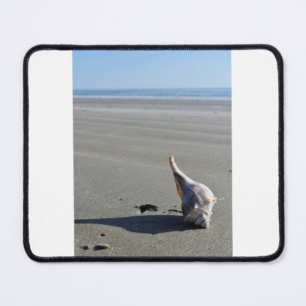 Item preview, Conch Shell on Beach designed and sold by searchlight.