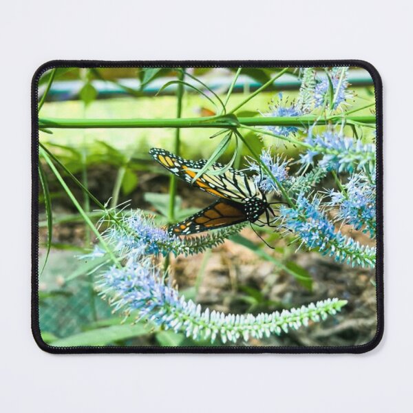 Item preview, Sideways Butterfly designed and sold by Michelle Sencabaugh.