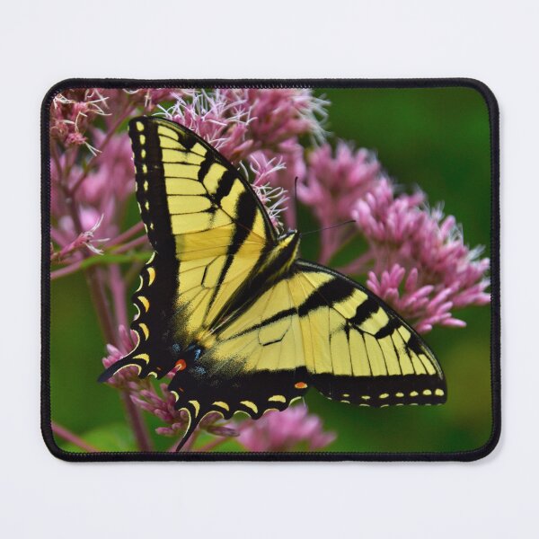 Item preview, Butterfly designed and sold by searchlight.
