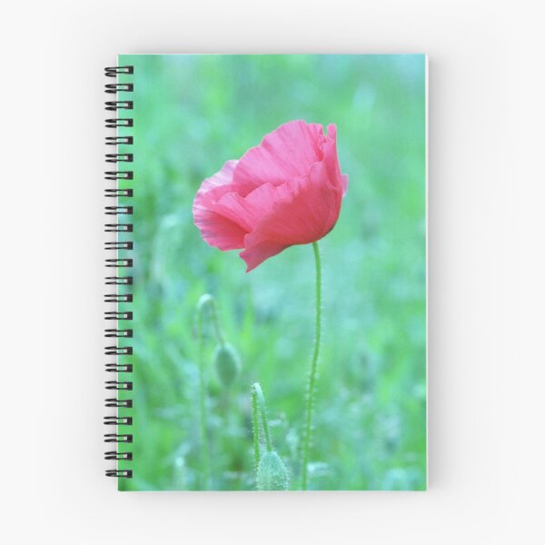 Artikelvorschau, Mohnblumen entworfen und verkauft von Debjaphotography.