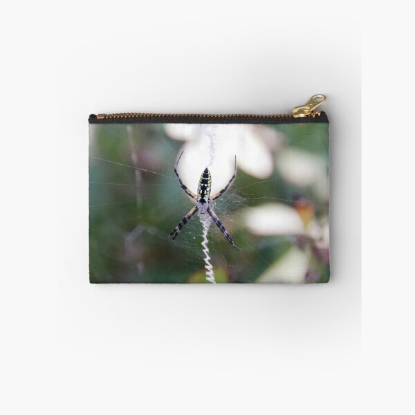 Item preview, Black and Yellow Garden Spider on Zig Zag Web designed and sold by Rennie Palmer.