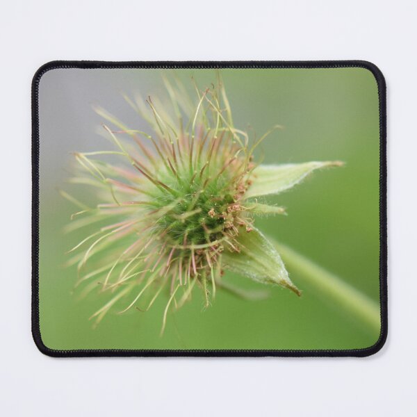 Item preview, Still a beauty designed and sold by Bente Agerup.