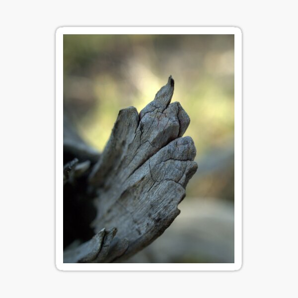 Item preview, Old Stick designed and sold by Ben Loveday.
