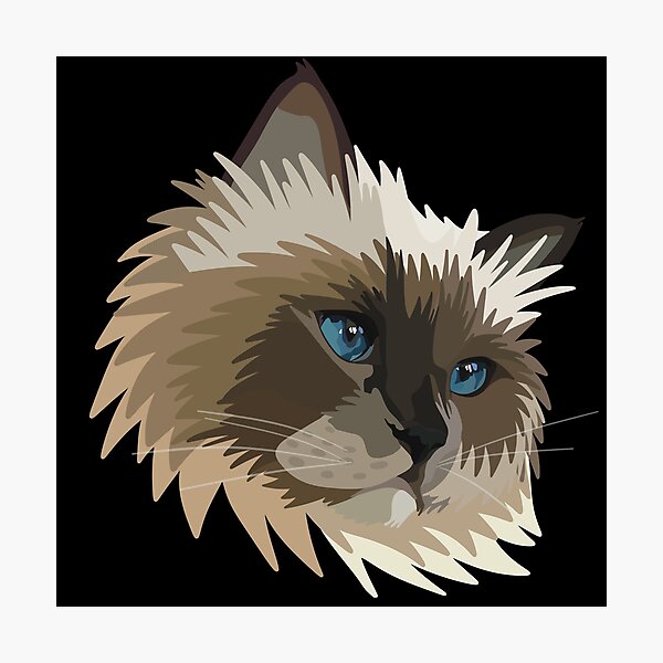 Item preview, Ragdoll Cat - Digital Art designed and sold by TLGdrawings.