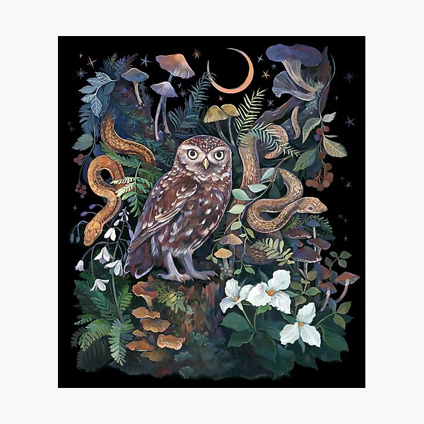 Snakes and Owl forest Photographic Print