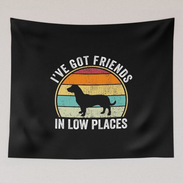 Item preview, I've Got Friends in Low Places Shirt,Drever Shirt,Funny Gift for Drever Lover, Fun Cool Drever Dad Owner Christmas Birthday Gift designed and sold by xlnv.