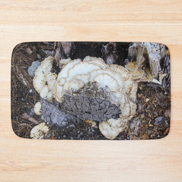 Item preview, Turkey tail mushrooms growing on an old tree stump designed and sold by Rennie Palmer.