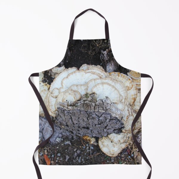 Item preview, Turkey tail mushrooms growing on an old tree stump designed and sold by Rennie Palmer.
