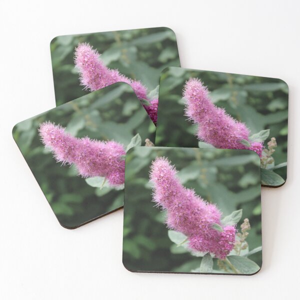 Item preview, High Quality Super Sharp Wildflower Photo by Young Photographer designed and sold by GradensGallery.