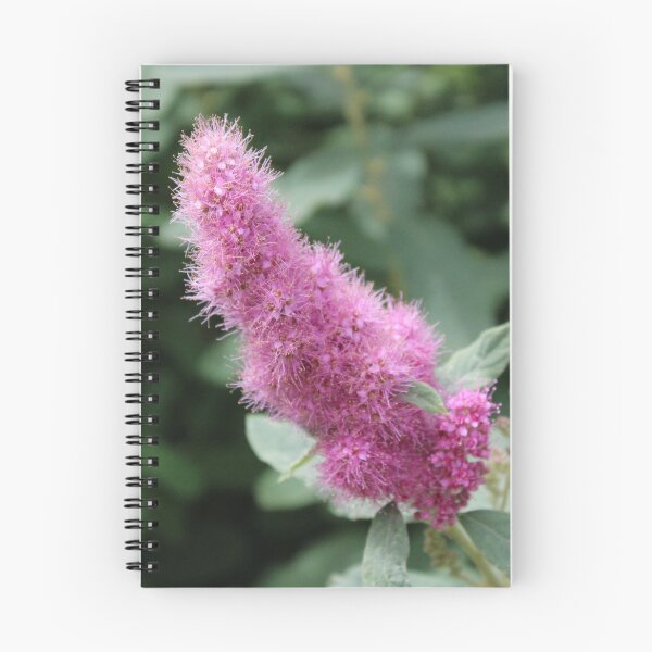 Item preview, High Quality Super Sharp Wildflower Photo by Young Photographer designed and sold by GradensGallery.