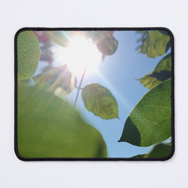 Item preview, Within the Wisteria designed and sold by Ellistar.