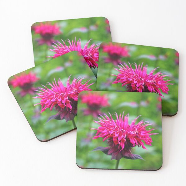 Item preview, High Quality Super Sharp Wildflower Photo by Young Photographer  designed and sold by GradensGallery.