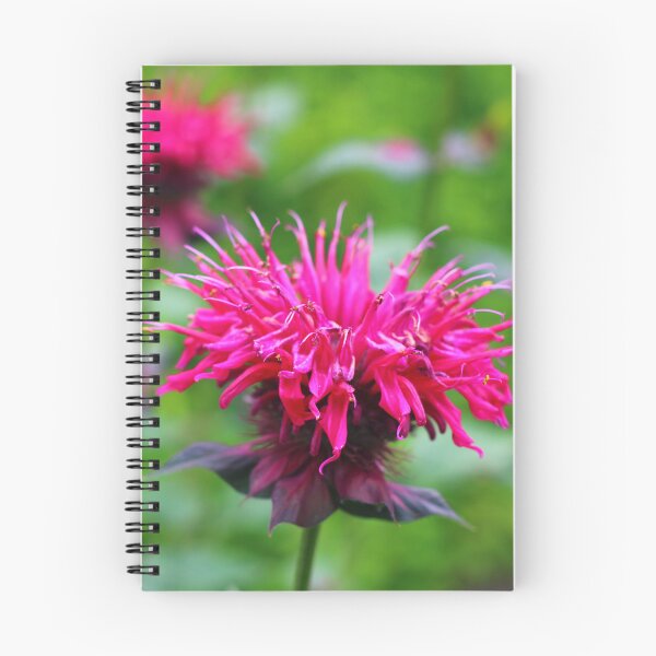 Item preview, High Quality Super Sharp Wildflower Photo by Young Photographer  designed and sold by GradensGallery.