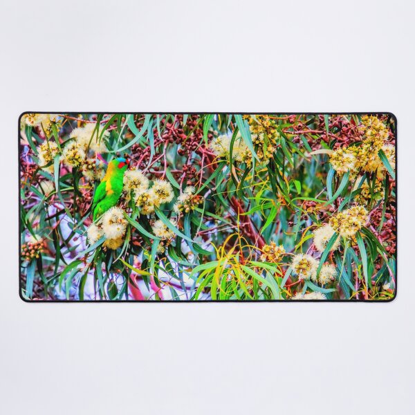 Item preview, Red Faced Fig Parrot at the Botanical Garden in Eaglehawk, Victoria designed and sold by Steven Jodoin.