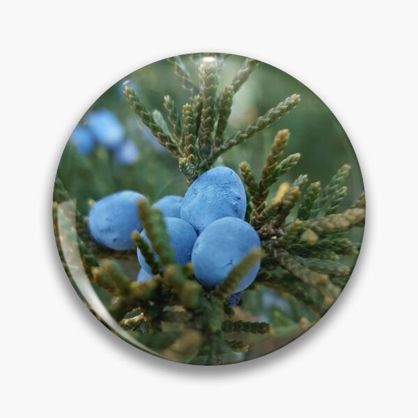 Item preview, The Call of the Cedar Trees designed and sold by Ellistar.