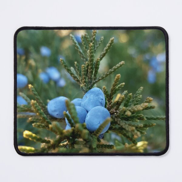 Item preview, The Call of the Cedar Trees designed and sold by Ellistar.