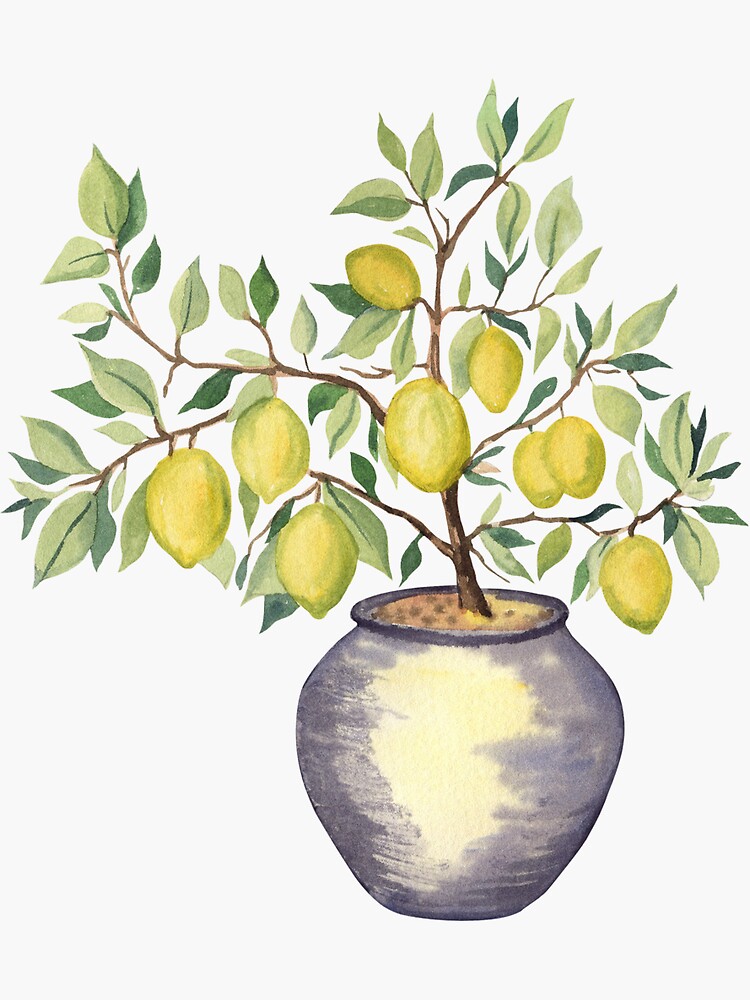 Hand Drawn Sketch Lemon Tree Of On A White Background Royalty Free SVG,  Cliparts, Vectors, and Stock Illustration. Image 54726733.