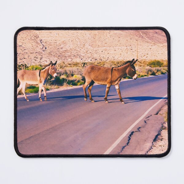 Item preview, Crossing the desert backboards designed and sold by Travelways.