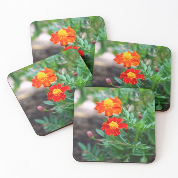 Item preview, High Quality Super Sharp Wildflower Photo by Young Photographer designed and sold by GradensGallery.