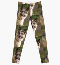 Max Leggings