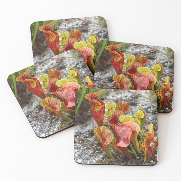 Item preview, High Quality Super Sharp Wildflower Photo by Young Photographer designed and sold by GradensGallery.