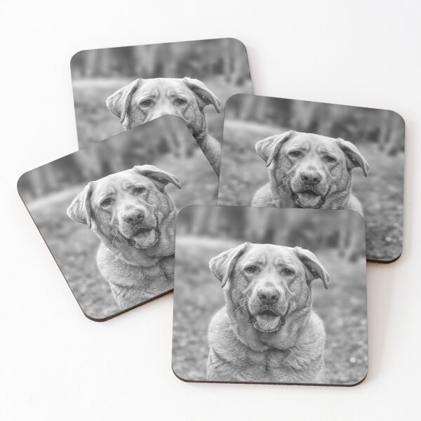Item preview, How can you not want to smoosh this handsome face? designed and sold by Kimberlydodge.