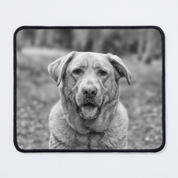 Item preview, How can you not want to smoosh this handsome face? designed and sold by Kimberlydodge.
