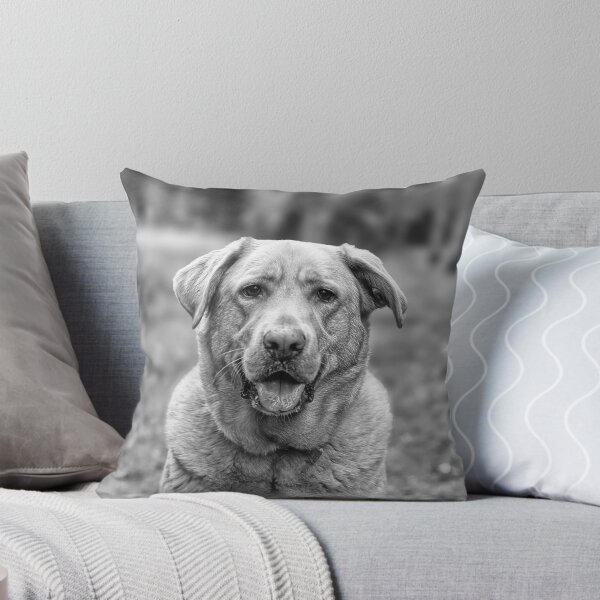 Item preview, How can you not want to smoosh this handsome face? designed and sold by Kimberlydodge.