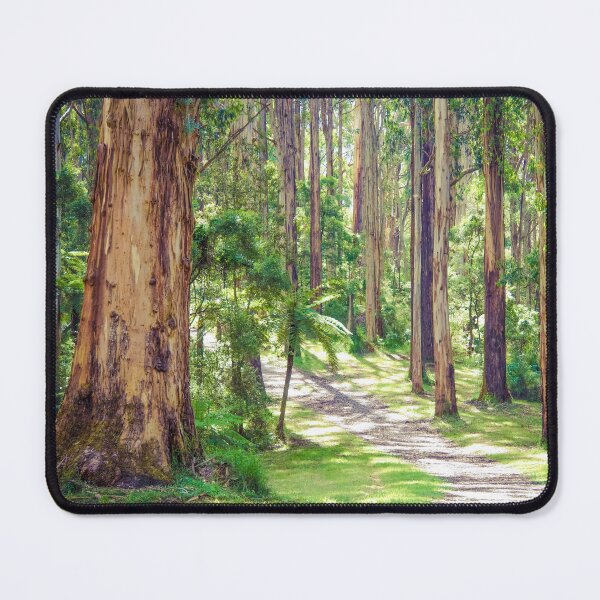 Item preview, Mountain Ash in the Dandenongs - Melbourne, Victoria designed and sold by Steven Jodoin.