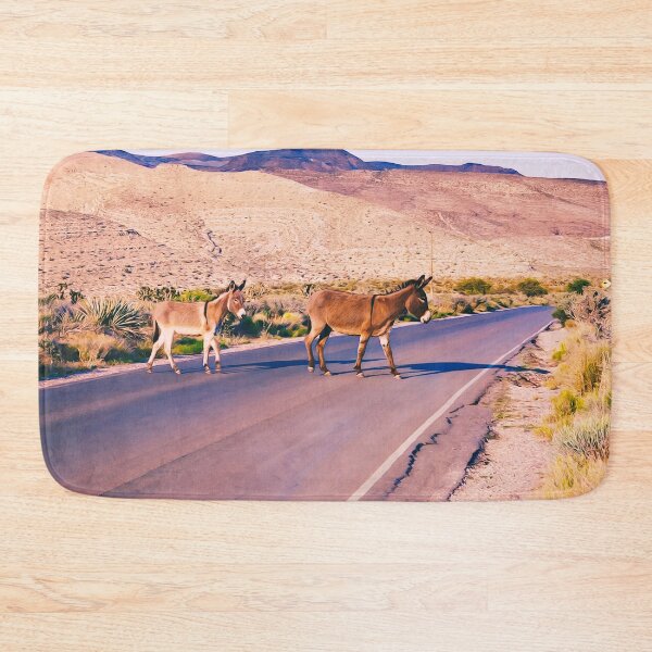 Item preview, Crossing the desert backboards designed and sold by Travelways.